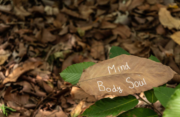 istock three components of life balance 1255740300
