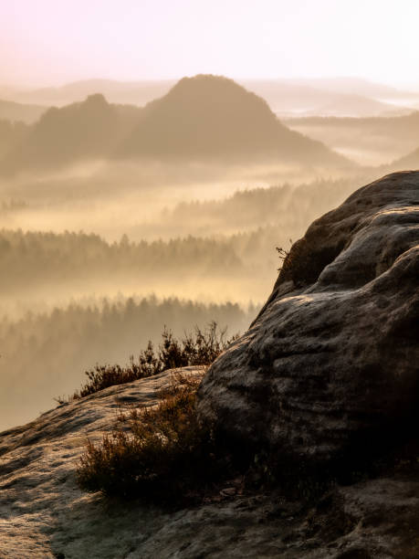 Bright dawn in early morning on countryside. Landscape of natural wild nature in morning sunlight. Perfect nature at dawn. Sunlight in soft mist