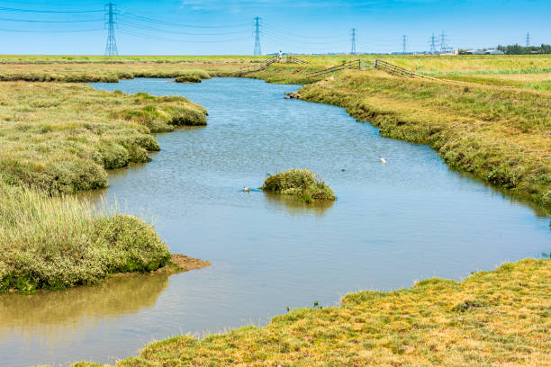 istock Faversham Creek and Electricity Pylons in Kent, England 1255743072