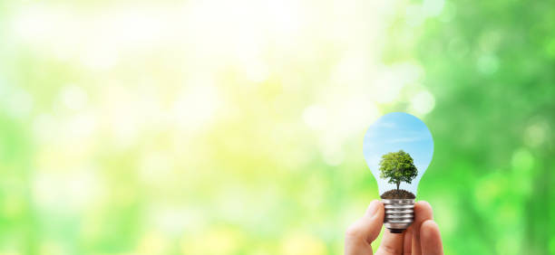 istock Hand holding green earth light bulb with blurry green natural in background. 1255743987
