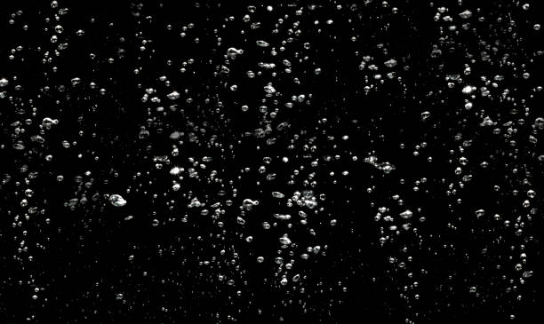 istock Abstract water background. Air bubbles water floating on black background. 1255745314