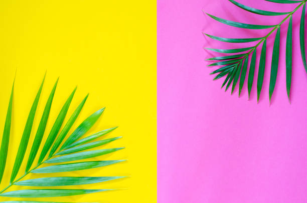 istock Bright colorful background with exotic painted tropical palm leaves 1255746659