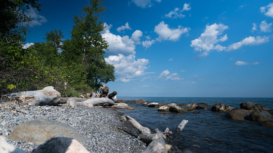 View on sea and blue sky with clouds. Rocks and pine tree on foreground