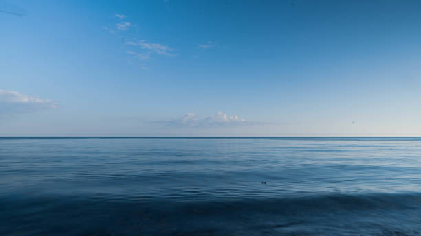 istock Ajax by  beside Lake Ontario 1255747966