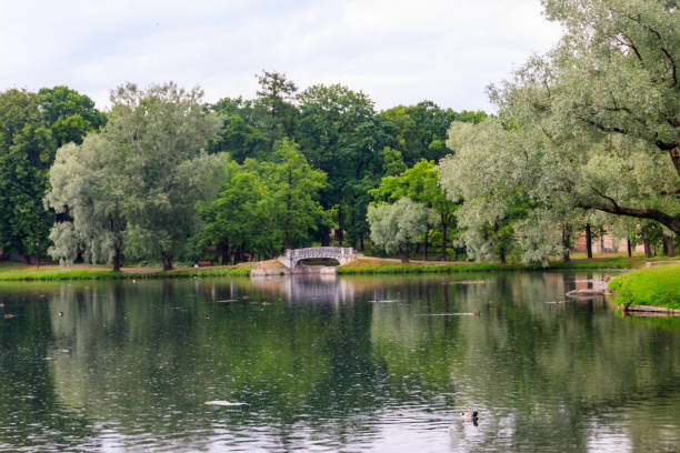 istock Lake with old bridge in a park in Gatchina, Russia 1255748088
