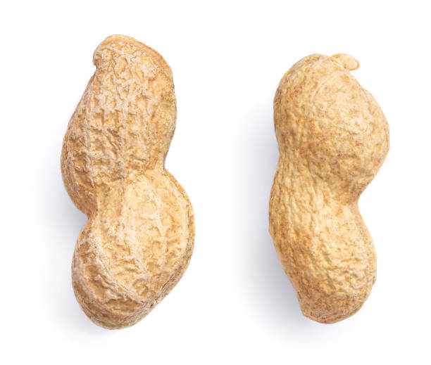 istock Peanuts isolated on the white background. Roasted nut macro.