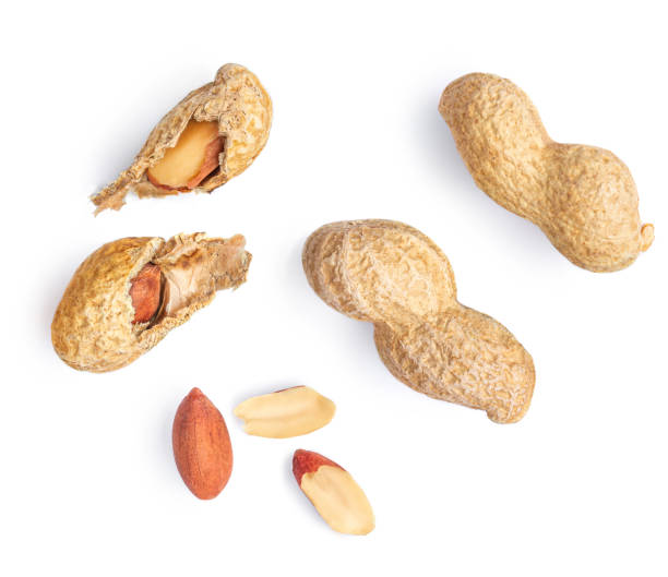 Peanuts isolated on the white background.  Dried crushed  Roasted nuts macro. Top view