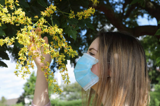 istock Impossibility of flower smelling through face mask goldenrain tree 1255752397