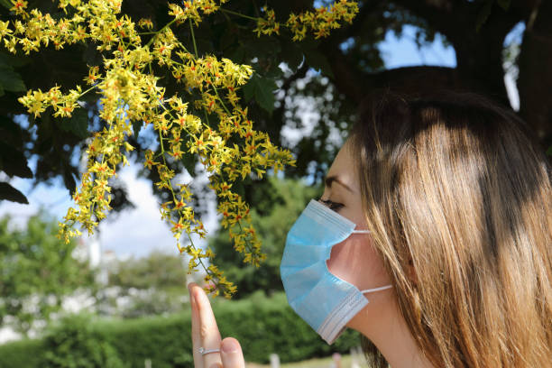 istock Impossibility of flower smelling through face mask goldenrain tree 1255753077