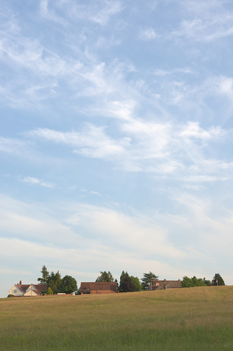 Wispy summer clouds and a blue sky float over a meadow, trees and rural houses.
