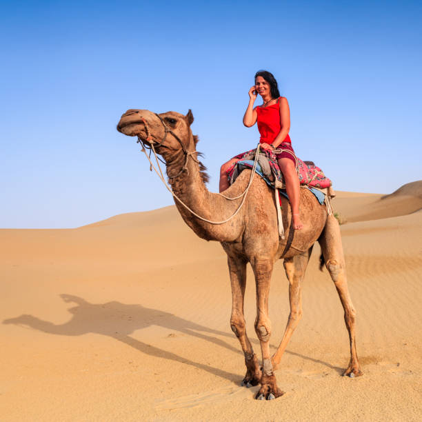 istock Young female tourist using mobile on a camel, Rajasthan, India 1255755150