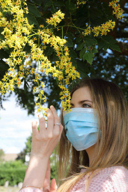 istock Impossibility of flower smelling through face mask goldenrain tree 1255756584