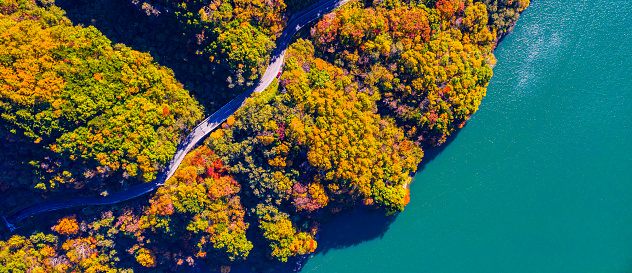 Top view of the road of autumn in Japan