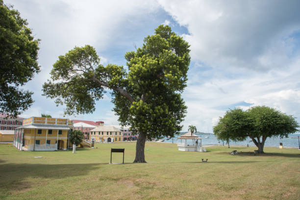 fort christiansvaern park w usvi - fort christiansvaern zdjęcia i obrazy z banku zdjęć