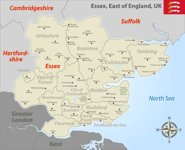 Essex in East of England Vector map of Essex in East of England, United Kingdom with regions and cities essex england illustrations stock illustrations