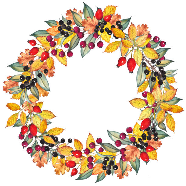 herbstkranz mit bunten blättern und beeren. - hawthorn square shape square leaf stock-grafiken, -clipart, -cartoons und -symbole