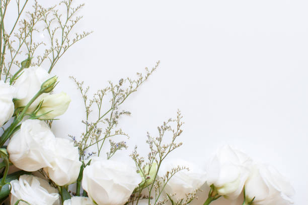 istock White flowers on a white background top view 1255761866
