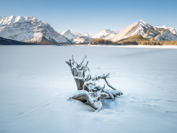 istock Alpine lake surrounded by mountains covered by snow during winter 1255763445