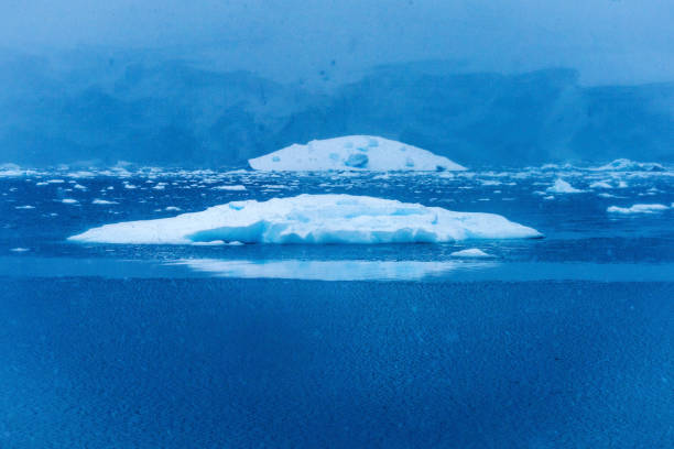 istock Snowing Floating Blue Iceberg Reflection Paradise Bay Skintorp Cove Antarctica 1255765447