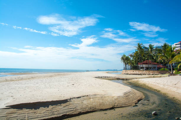 istock Large hotel and palm trees on the beach with blue sky background 1255765562