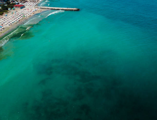 istock Swimmers in the sea 1255769104