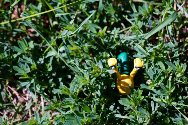 Snail figurine made of plasticine. Beautiful animal figures. Bright and amazing images of nature. Creation.