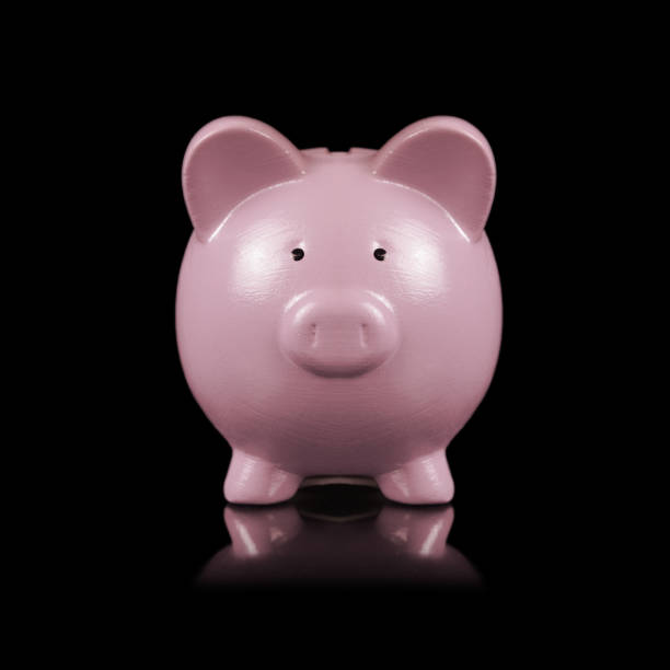 istock Isolated Pig Bank 1255778102