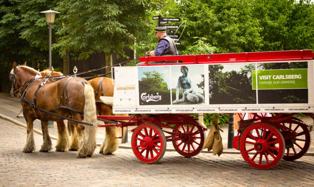 Horse drawn old traditional Carlsberg distribution carriage in the road behind the old Carlsberg brewery in Copenhagen, Denmark, with two horses in front. The carriage is decorated with \