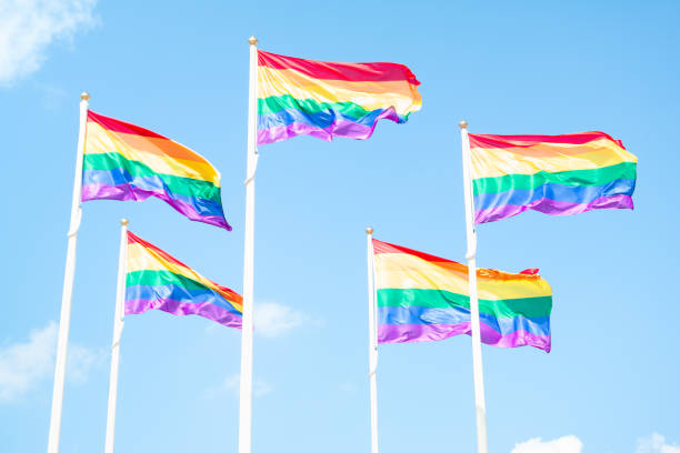 istock Rainbow LGBT flags waving on sky background with clouds, horizontal closeup 1255782559