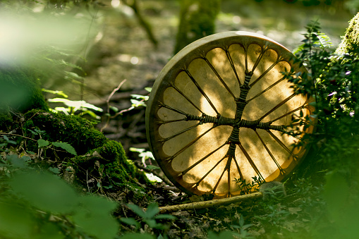 Shamanic drum in forest.