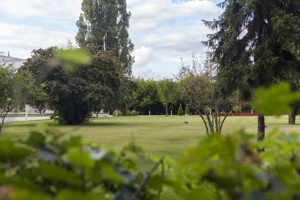 istock Park in the city 1255783291