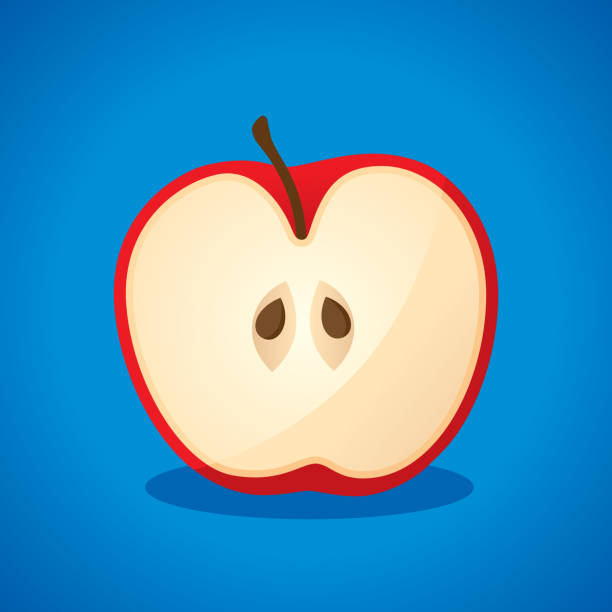 apple cut in half icon flat 1 - gezweitelt stock-grafiken, -clipart, -cartoons und -symbole