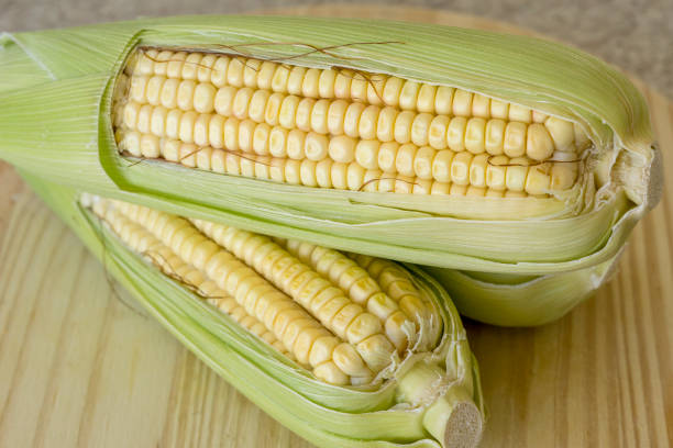 istock Closeup of raw corn cobs with straw over wood 1255783574