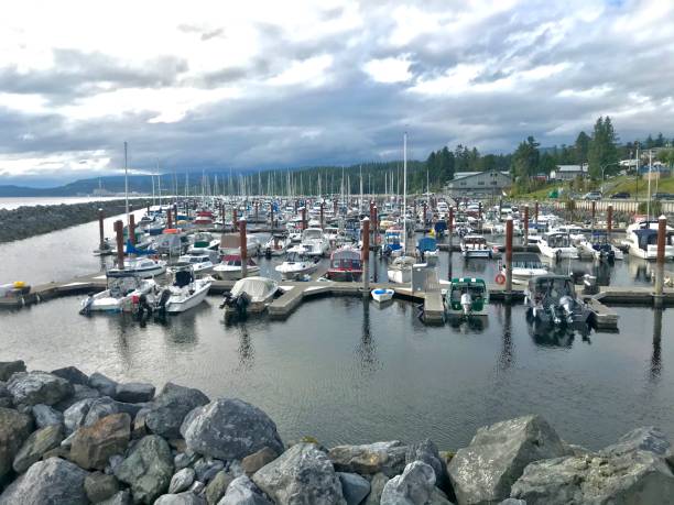 istock Powell River, British Columbia Marina 1255783705