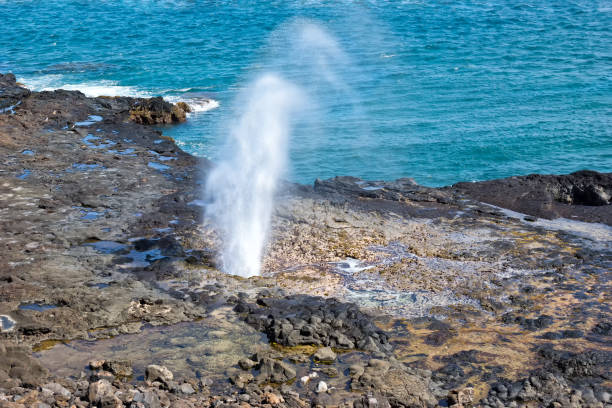 istock Spouting Horn Blow hole on Kauai Island 1255783710