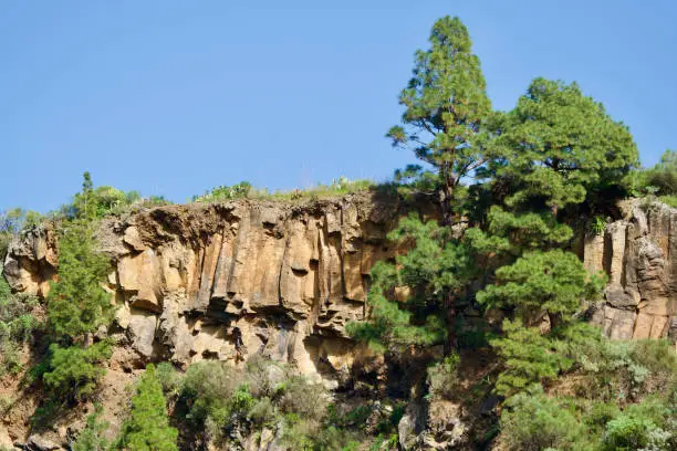 Greened cliff of La Palma under a blue sky