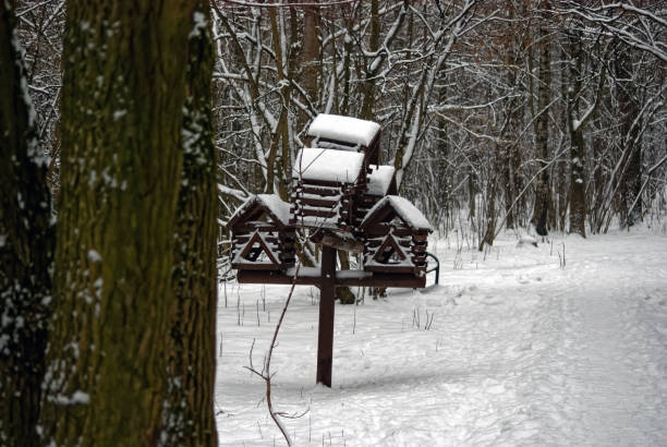 istock big bird feeder in the Park in the snow 1255784594