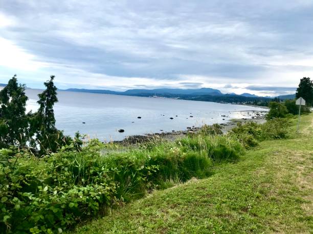 istock Willindon Beach, Powell River, British Columbia, Canada 1255786130