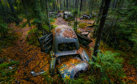An old car slowly rusts away under a blanket of growing moss in autumn