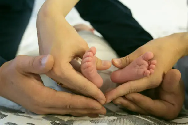 Mom and dad hug newborn baby legs. A heart is formed, which symbolizes love, care, affection and unity.