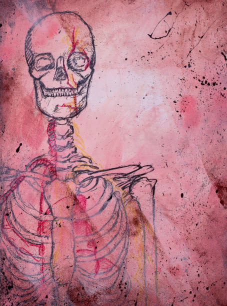 Abstract painting of anatomy skeleton drawing Abstract painting of anatomy skeleton drawing. Original painting on canvas. drawing of rib cage anatomy stock illustrations