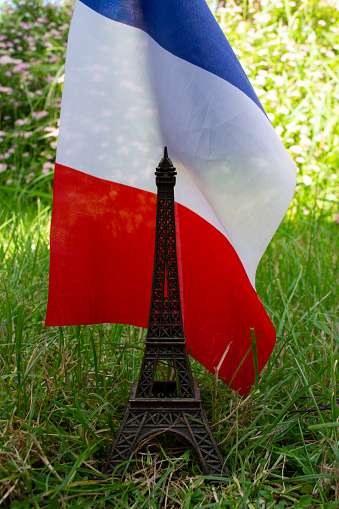 Vintage grunge background with old paper texture, dried rose flowers and Eiffel Tower - famous landmark of Paris . Mock up template. Copy space for text