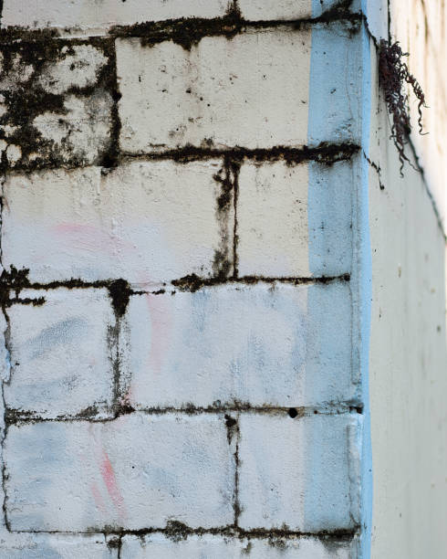 istock Section of an aged and worn concrete block wall 1255788027