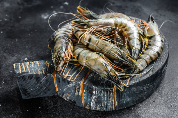 istock Black raw tiger prawns. Black background. Top view 1255788120