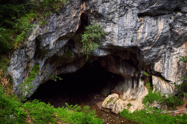 istock Bolii cave huge entrance 1255788132