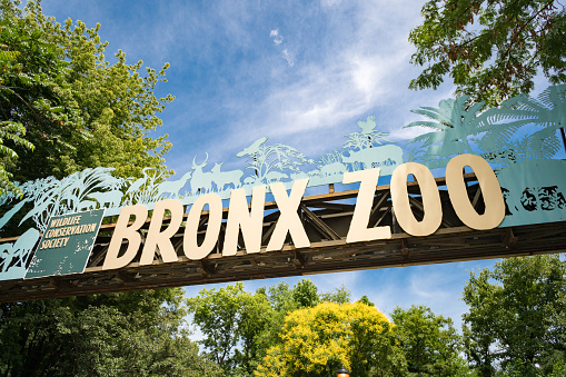New York City, USA - May 7, 2013: View on Bronx Zoo entrance. The Bronx Zoo is located in the Bronx borough of New York City, within Bronx Park. It is one of the world's largest metropolitan zoos. With 265 acres of wildlife habitats and attractions, the Bronx Zoo is the flagship of the Wildlife Conservation Society's collection of urban wildlife parks.