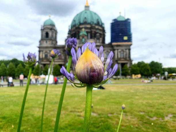 istock Lustgarten in front of Berlin Cathedral - Germany 1255788358