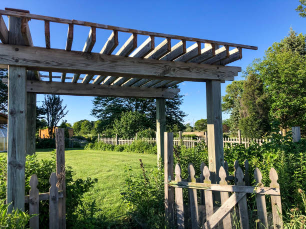 istock Wooden gate entry and fence 1255789356
