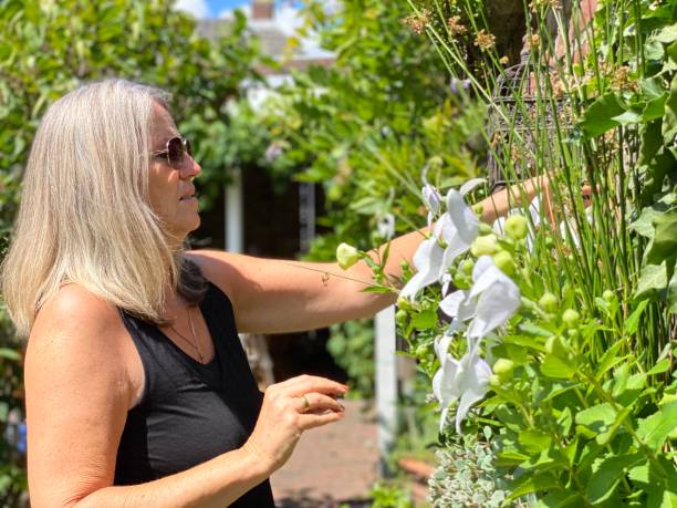istock Woman at work in the garden 1255791824