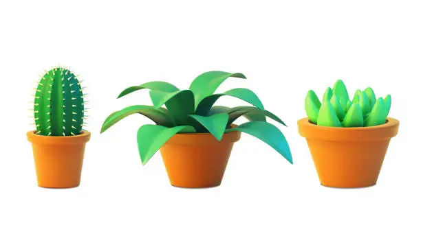 Vector illustration of Vector set houseplant cactus and succulent  in pot, realistic tree front view. 3D Illustration green  of indoor plant isolated on white background.